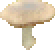 Magic Mushroom.png